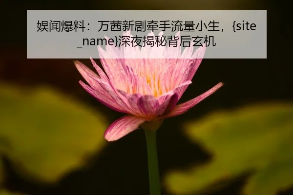 yu-wen-bao-liao-wan-qian-xin-ju-qian-shou-liu-liang-xiao-sheng-shen-ye-jie-mi-bei-hou-xuan-ji-2-901.jpg